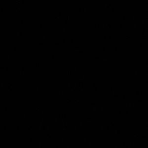 Meet your Posher, Mia